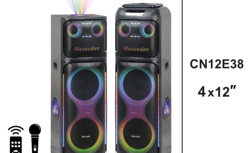 اسپیکر حرفه‌ای Maxeeder CN12E38